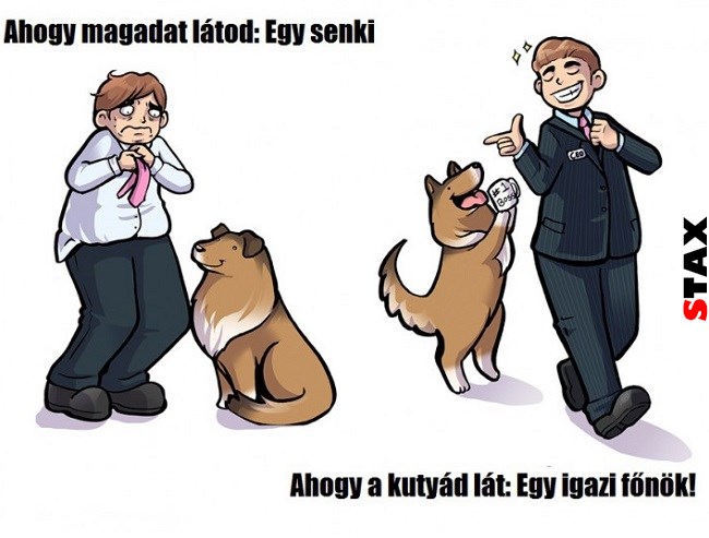 ahogy erzed magad vs amilyennek a kutyad lat 1