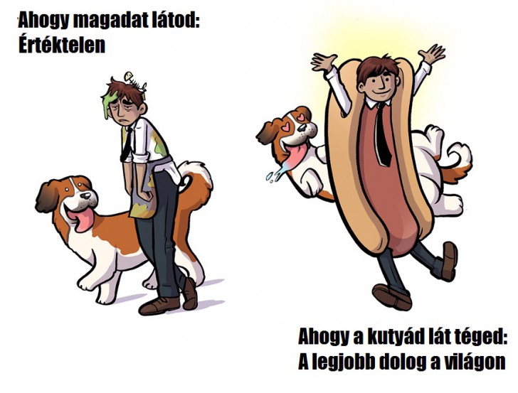 ahogy erzed magad vs amilyennek a kutyad lat 6