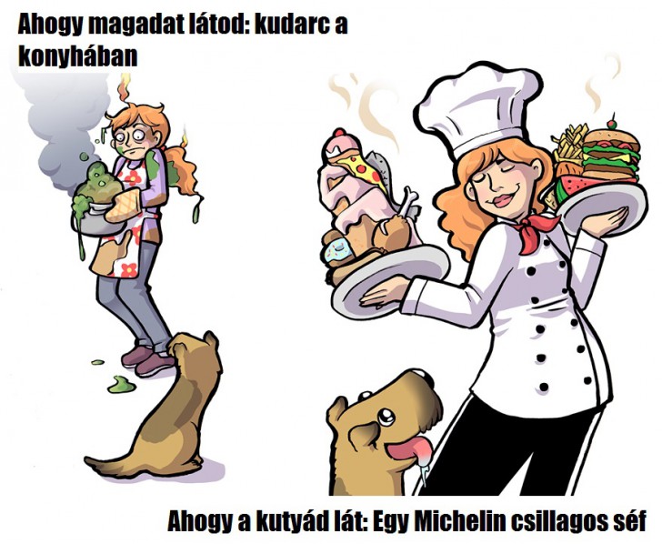 ahogy erzed magad vs amilyennek a kutyad lat ki