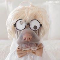 anniepaddington 9