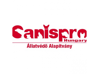 canis_889071947