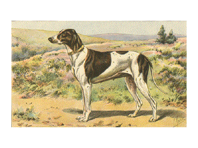 dupuy